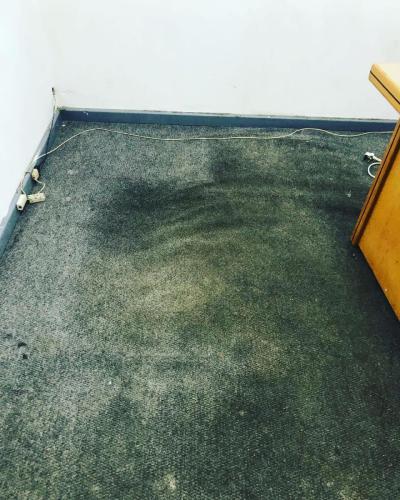 WhatsApp Image 2023-10-04 at 20.20.21(1)